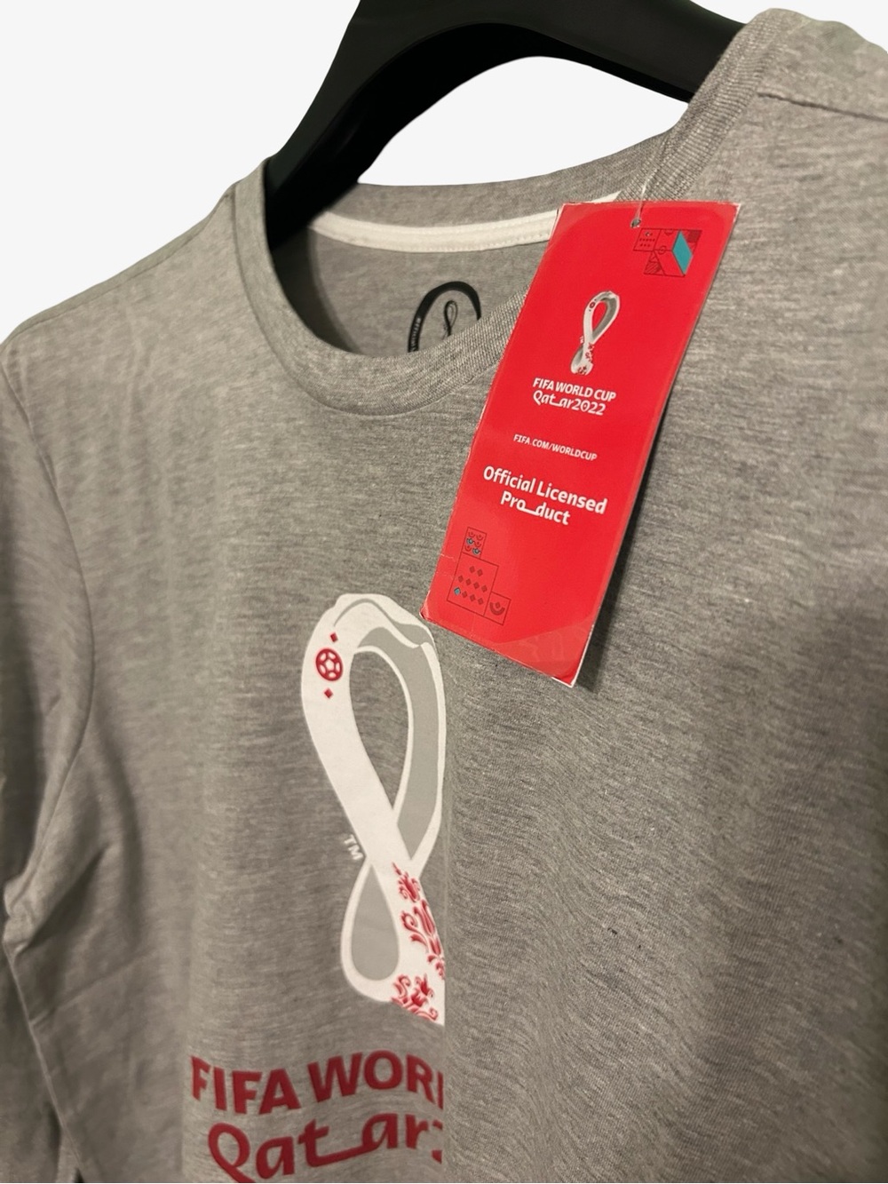 FIFA World Cup Qatar 2022 Gray Long Sleeve Tee